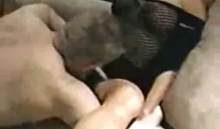 رومانی, شلخته, شاخک حساس دانلود گیف سکسی تلگرام